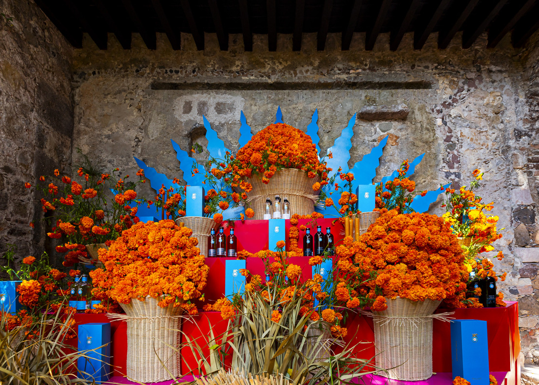 Día de Muertos en San Miguel de Allende con Casa Dragones