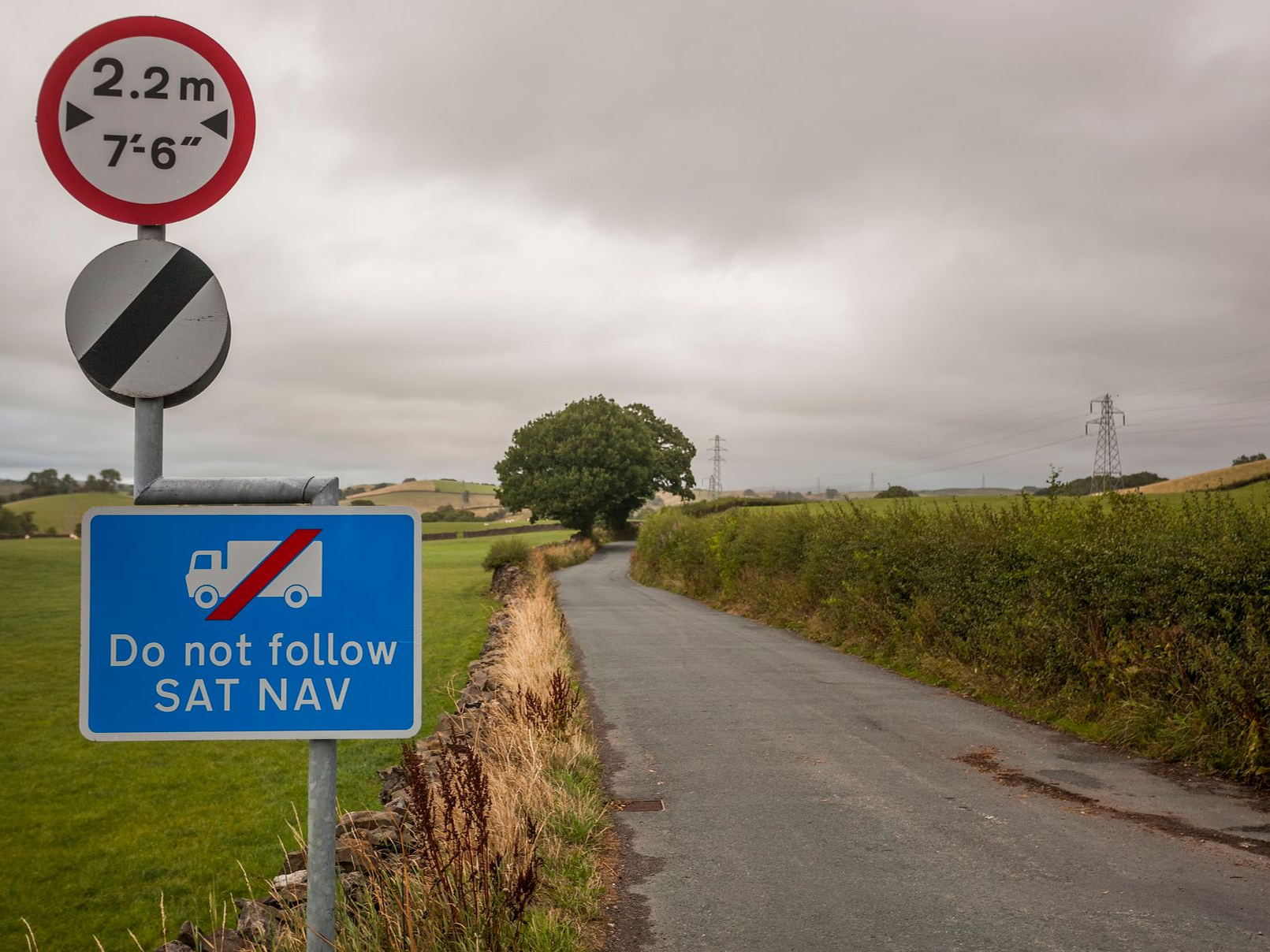 Nearly half of drivers break speed limit on 60mph country roads – highest level seen by RAC since 2016