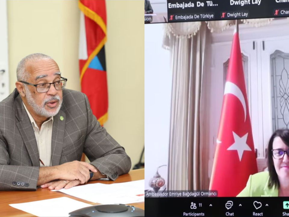 L'Ambassadrice de la République de Turquie présente ses lettres de créance au Directeur général de l'OECO