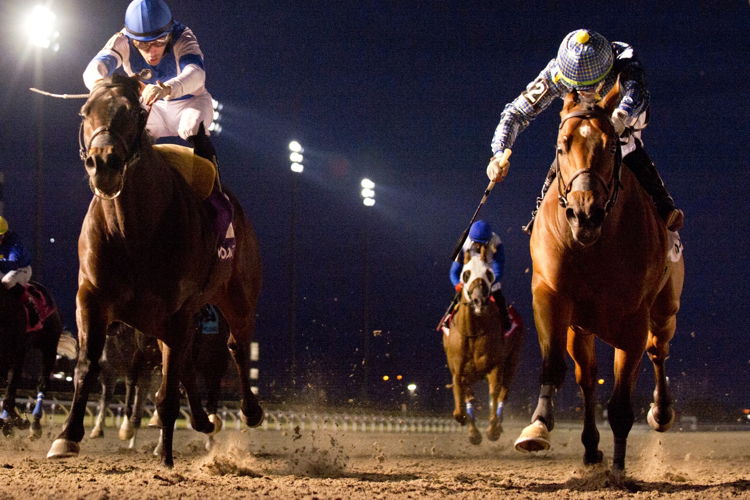 Flag of Honour (AUS) (right) holds off Ice Chocolat (BRZ) (left) to win the Grade 2 Kennedy Road. (Michael Burns Photo)