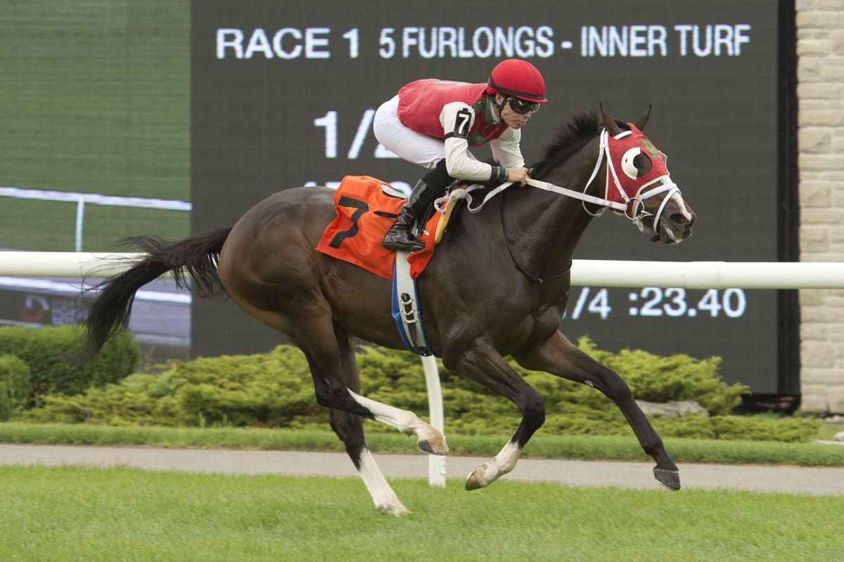 Bill Tharrenos trainee Housebuilder and jockey Emma-Jayne Wilson winning on August 21, 2022 at Woodbine (Michael Burns Photo)