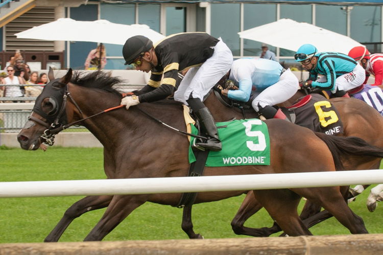 Lucky Score and jockey Sahin Civaci winning the Highlander Stakes on July 1, 2023 at Woodbine (Michael Burns Photo)