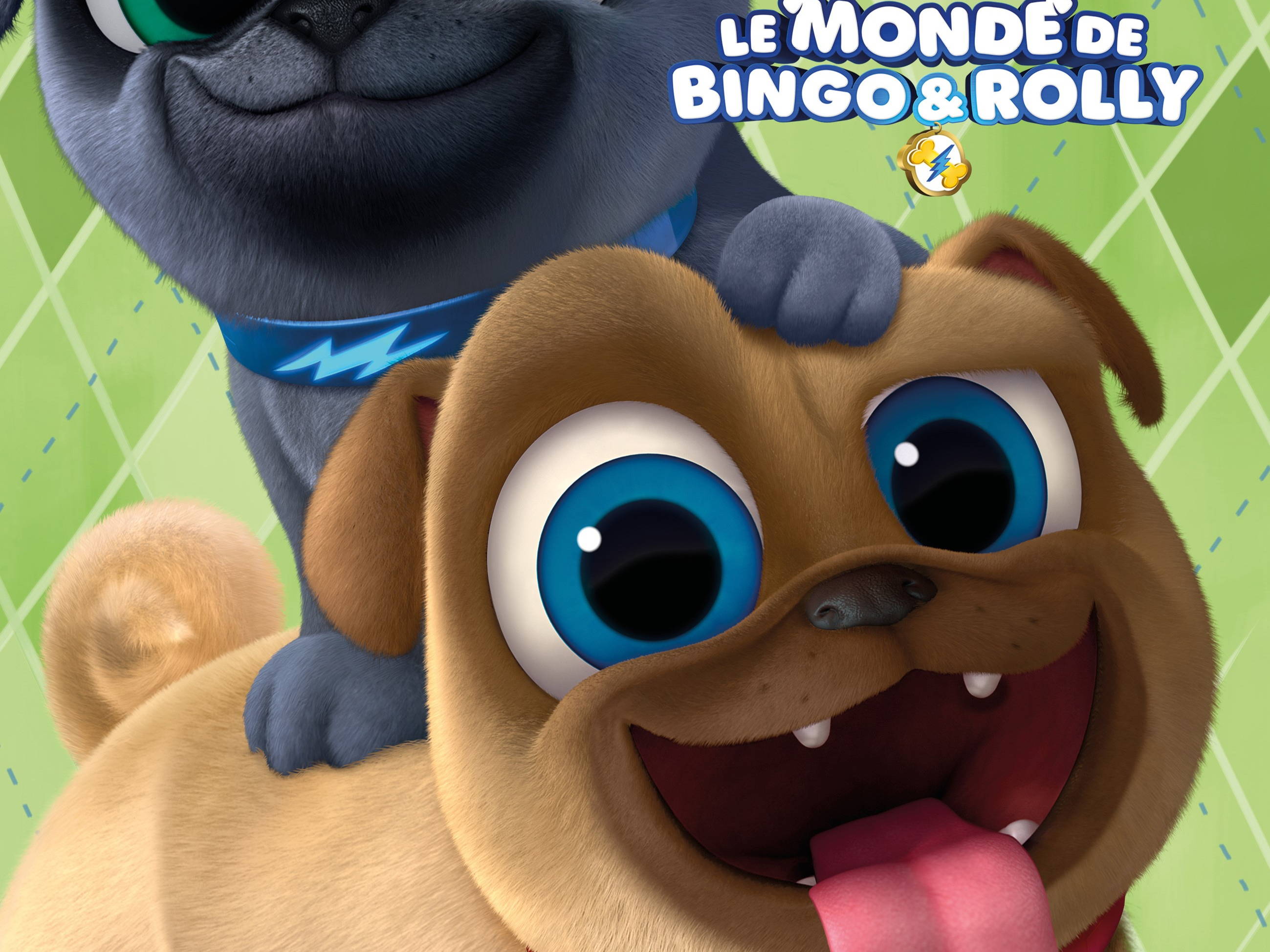 Suivez les aventures de Bingo et Rolly dans « Le Monde de Bingo & Rolly »