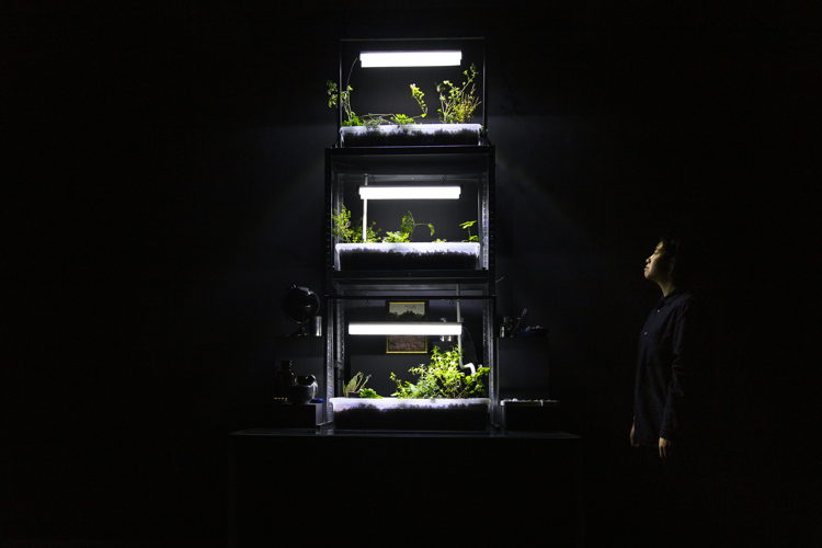 FORMAT2019
Inès Leverrier Péborde. Neo-Herbalism
Foto © Selma Gurbuz FORMAT2019
Inès Leverrier Péborde. Neo-Herbalism
Foto © Selma Gurbuz