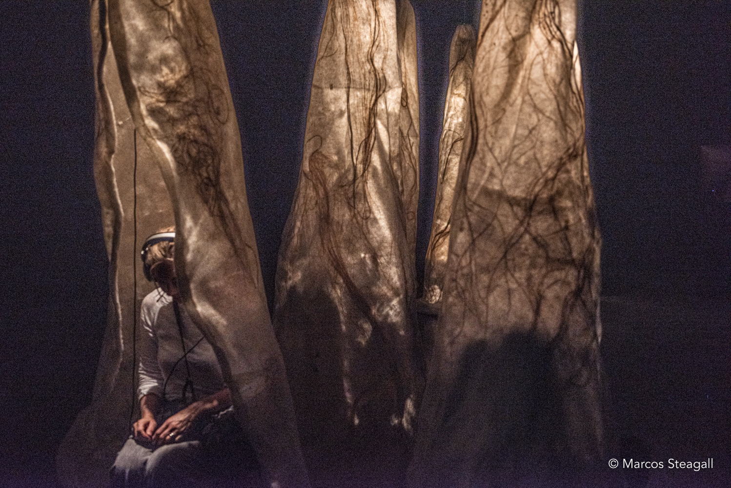 The case moth cocoons represent the home of Hineraukatauri which provide whakapapa links to atua wāhine for each audio portrait. Photo courtesy of Marcos Steagall. The case moth cocoons represent the home of Hineraukatauri which provide whakapapa links to atua wāhine for each audio portrait. Photo courtesy of Marcos Steagall.