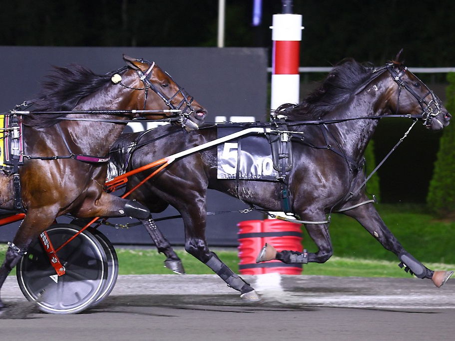 Fashion Frenzie matches Track and Canadian Record