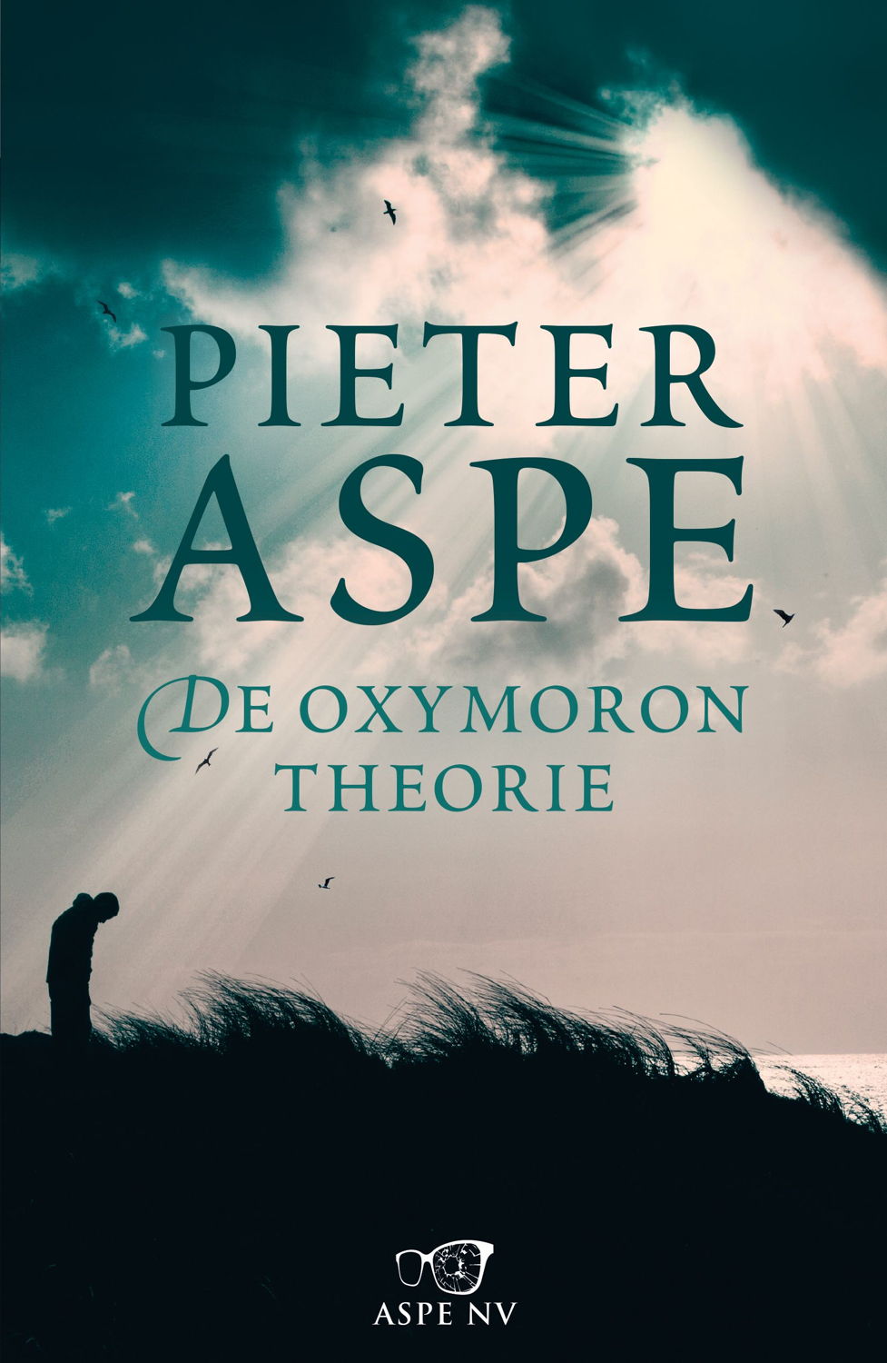 cover 'De oxymorontheorie'