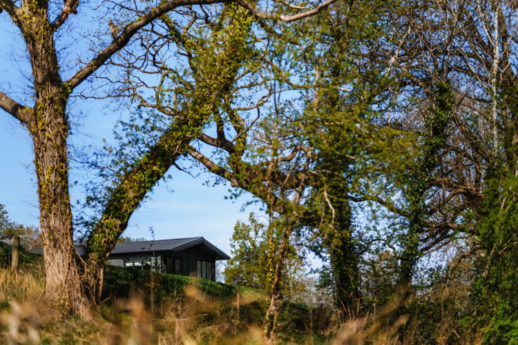 Brynmorflodgepark 36