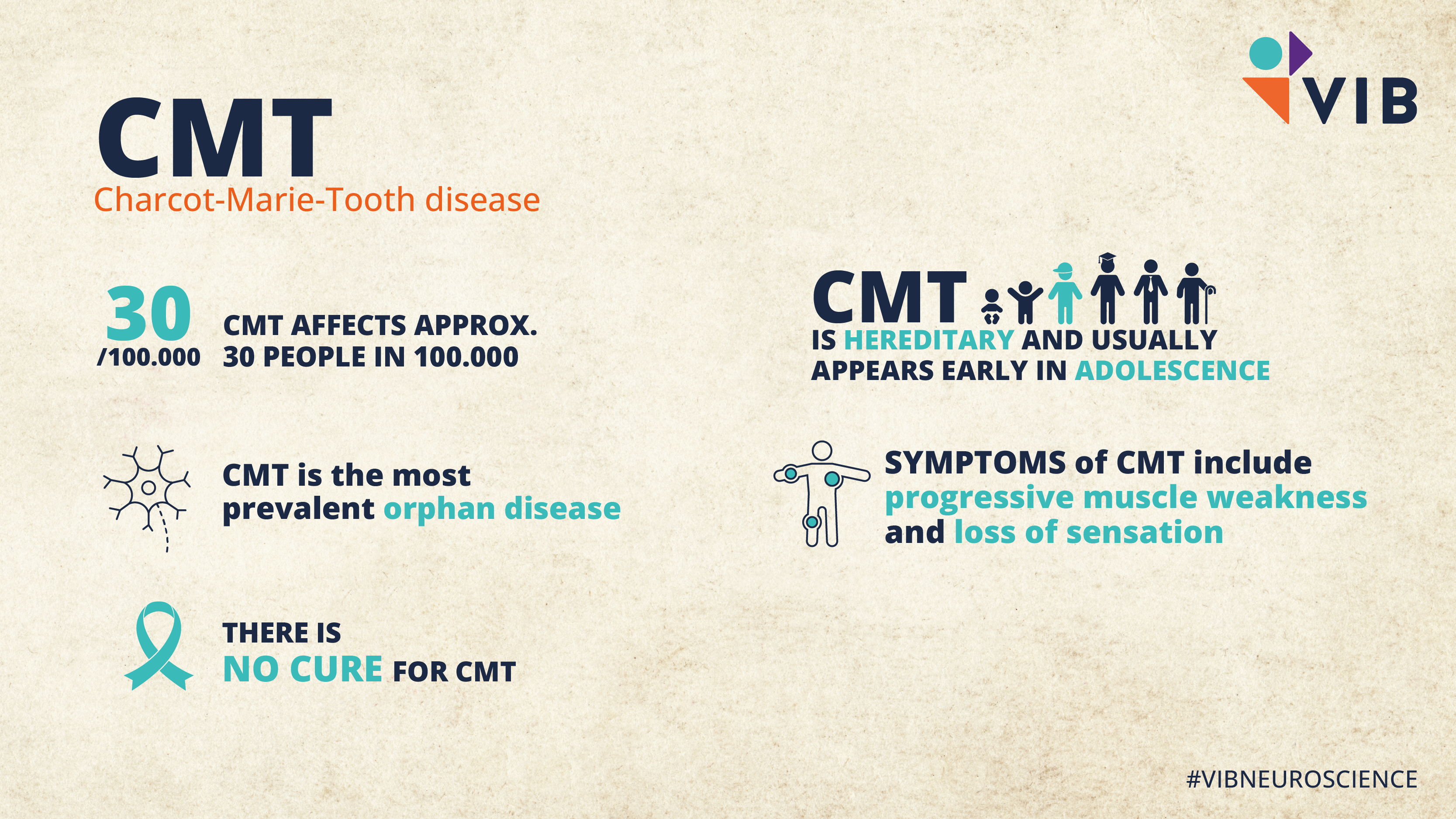 CMT Facts and Figures