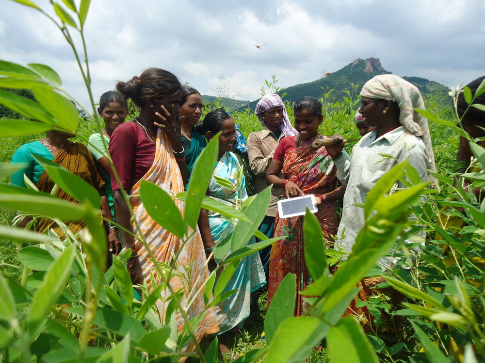 Women farmers using digital tool for crop and weather updates.