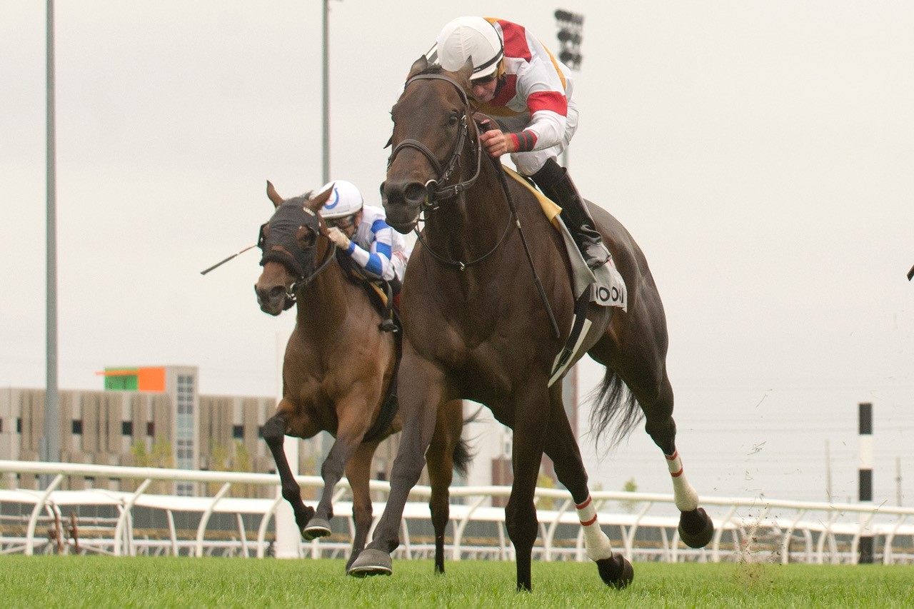 Lorena and jockey Gary Boulanger winning the Zadracarta Stakes, Sunday at Woodbine. (Michael Burns Photo) 