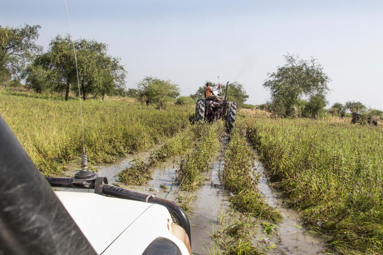 Passing through certain areas is only possible with the help of a tractor which tows the MSF Land Cruiser. Half way along the road the team comes across a wide swamp that can only be passed with the tractor. Photographer: Philippe Carr/MSF Passing through certain areas is only possible with the help of a tractor which tows the MSF Land Cruiser. Half way along the road the team comes across a wide swamp that can only be passed with the tractor. Photographer: Philippe Carr/MSF