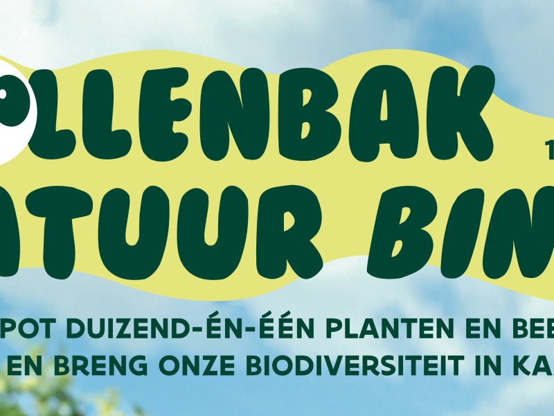 Bijna een half miljoen waarnemingen tijdens Nationale Biodiversiteitschallenge 2024