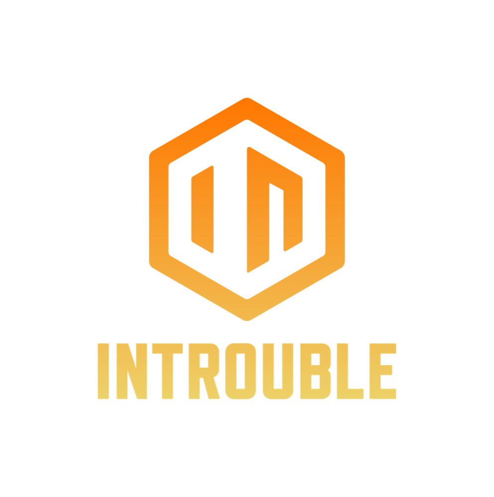 INTROUBLE logo portrait -Orange