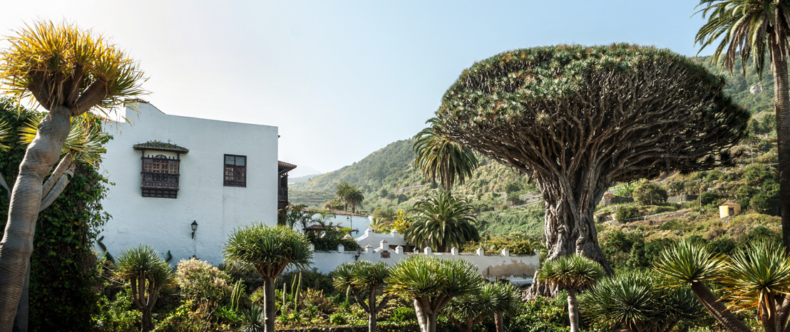 Tenerife, une oasis de verdure 365 jours par an : les 6 plus beaux parcs et jardins