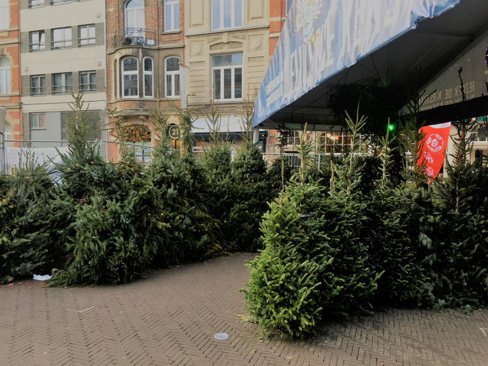 Stad Leuven geeft kerstbomen van kerstmarkt gratis weg