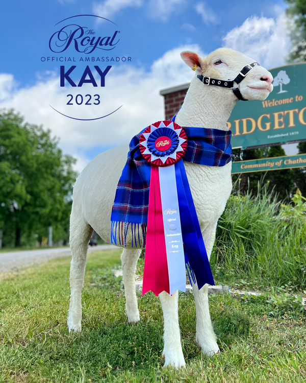 THE ROYAL RETURNS: CELEBRATE THE BEST IN AGRICULTURE, FOOD AND EQUESTRIAN COMPETITIONS FROM NOVEMBER 3 - 12, 2023