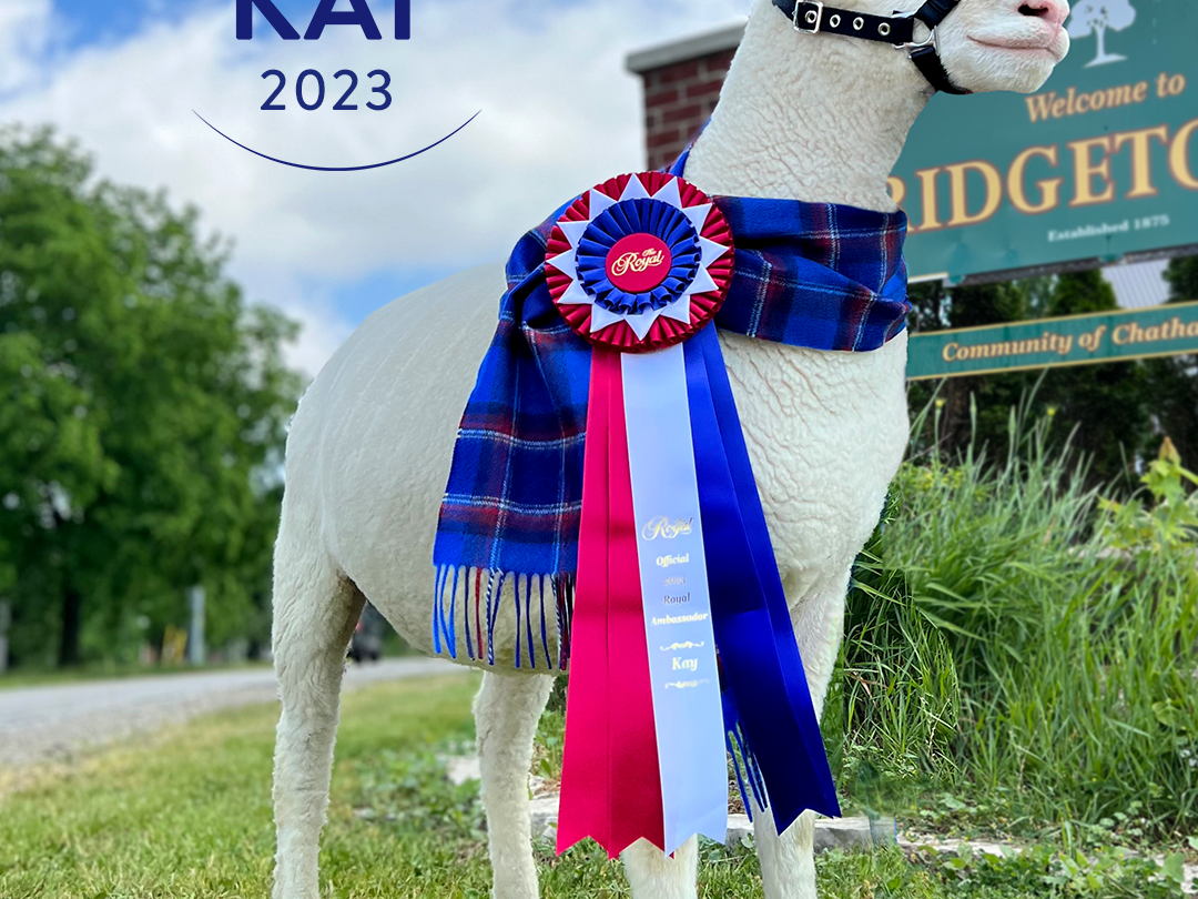 THE ROYAL RETURNS: CELEBRATE THE BEST IN AGRICULTURE, FOOD AND EQUESTRIAN COMPETITIONS FROM NOVEMBER 3 - 12, 2023