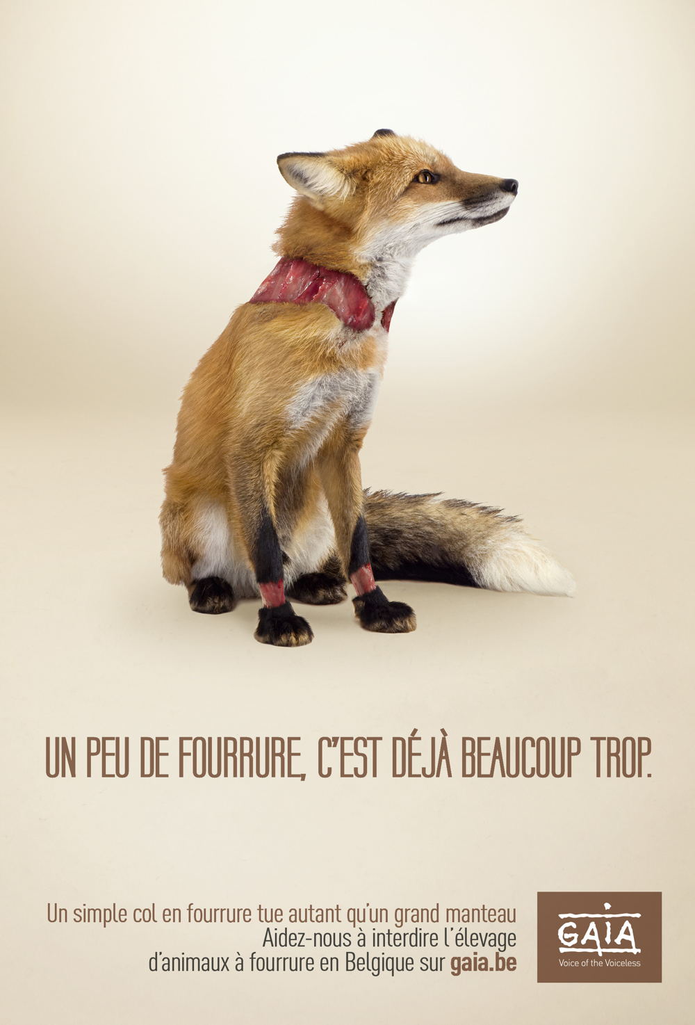 Visuel Renard