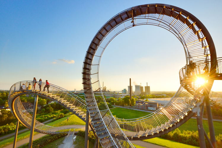 Tiger und Turtle © Francesco Carovillano