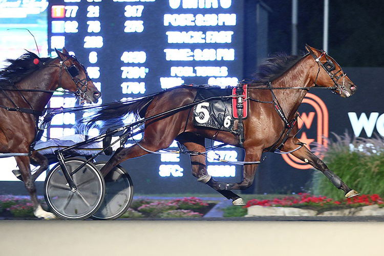 Sylvia Hanover and driver Bob McClure winning the She’s a Great Lady Stakes on Saturday at Woodbine Mohawk Park (New Image Media)