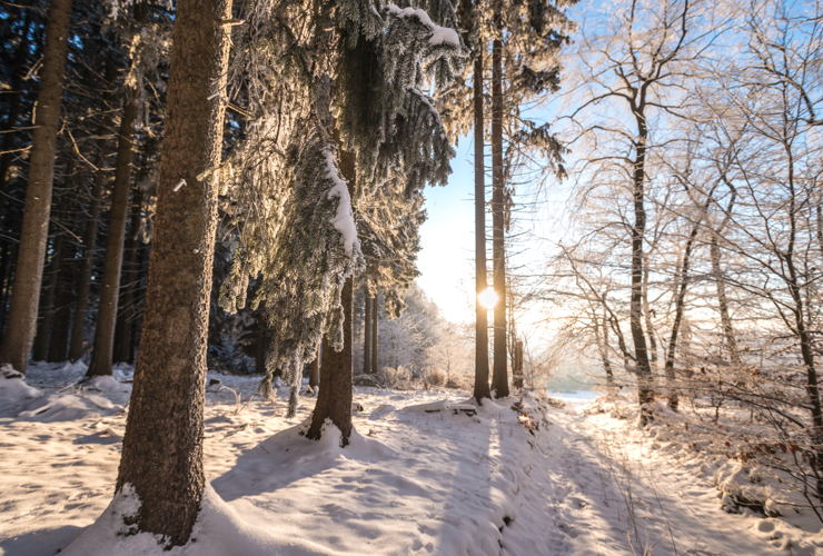 Spessart, Eifel (c) Dominik Ketz