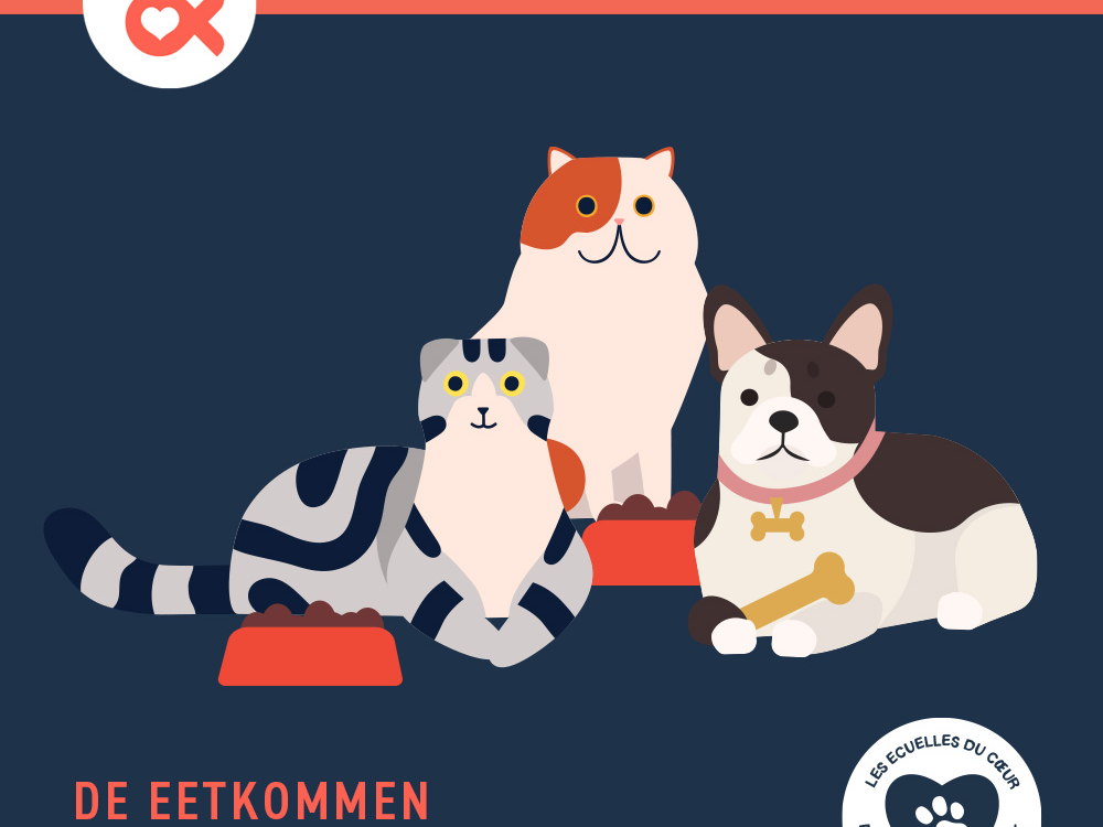 Tom&Co lance une nouvelle campagne des ‘Ecuelles du coeur’ afin de soutenir les refuges pour animaux