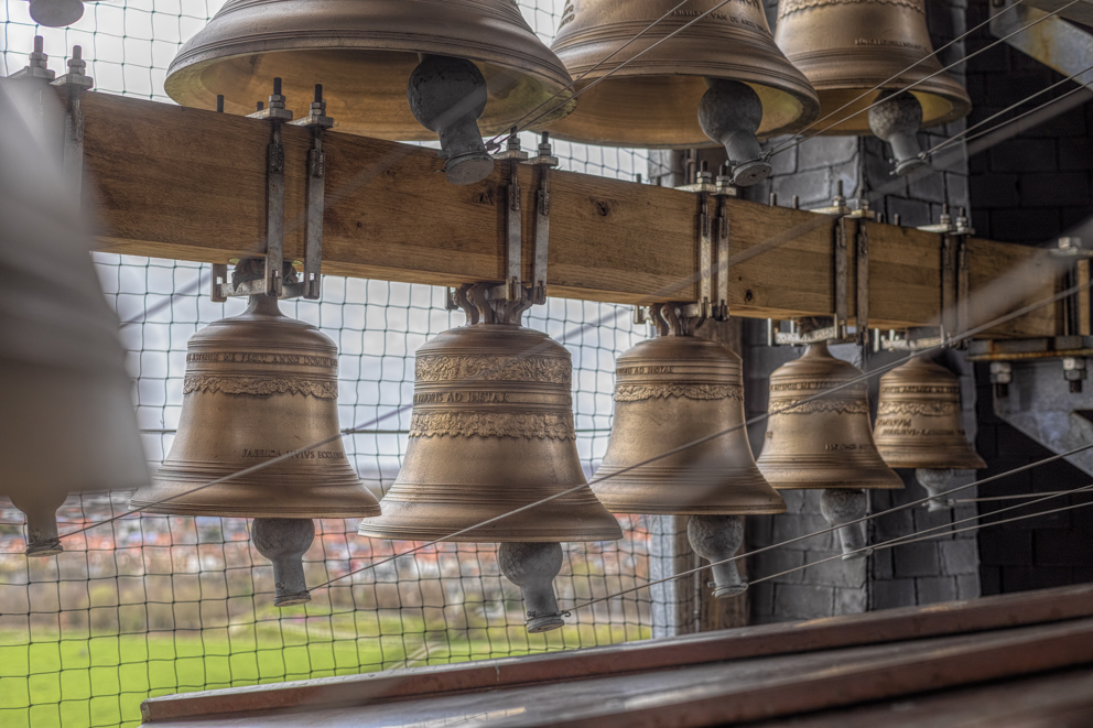 Leuvense beiaarden trappen zomer muzikaal op gang met Leuven Bells