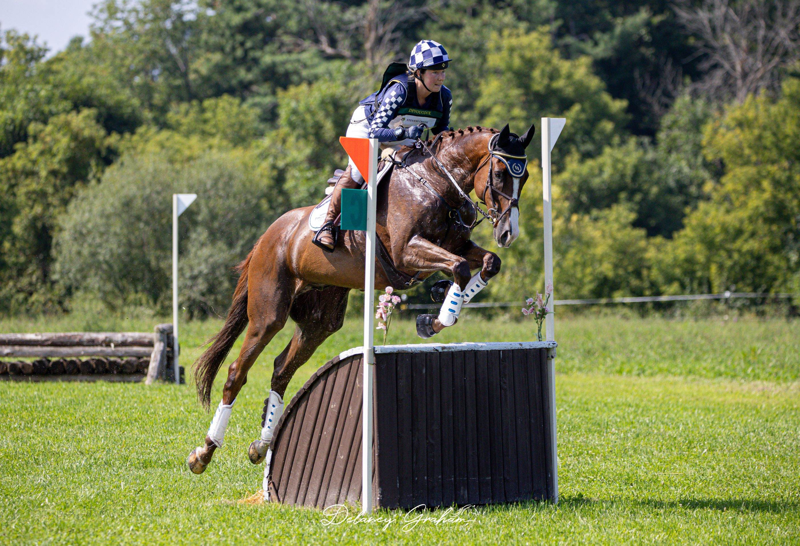 Thoroughbreds Reimagined: The Show Ring’s Unsung Stars