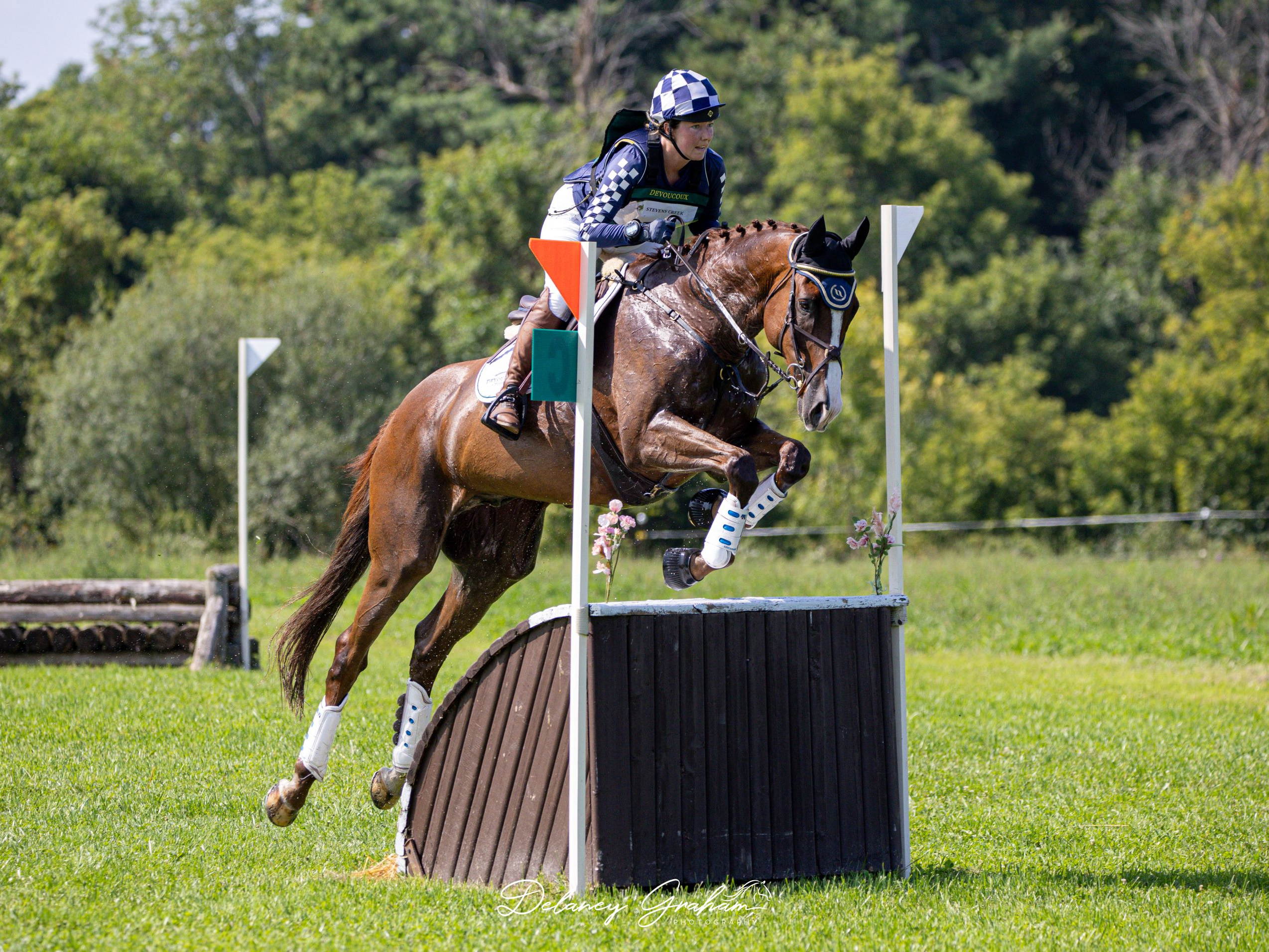 Thoroughbreds Reimagined: The Show Ring’s Unsung Stars