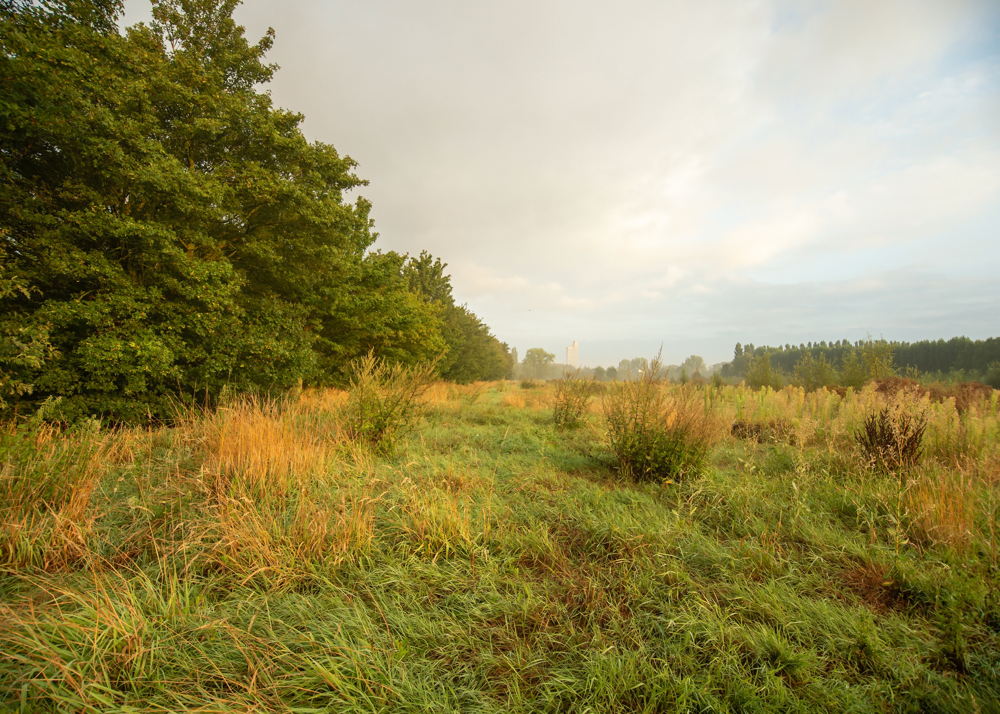 Natuurgebied Rijvissche Zwijnaarde -  vzw Natuurpunt -  copyright Ben Cottele