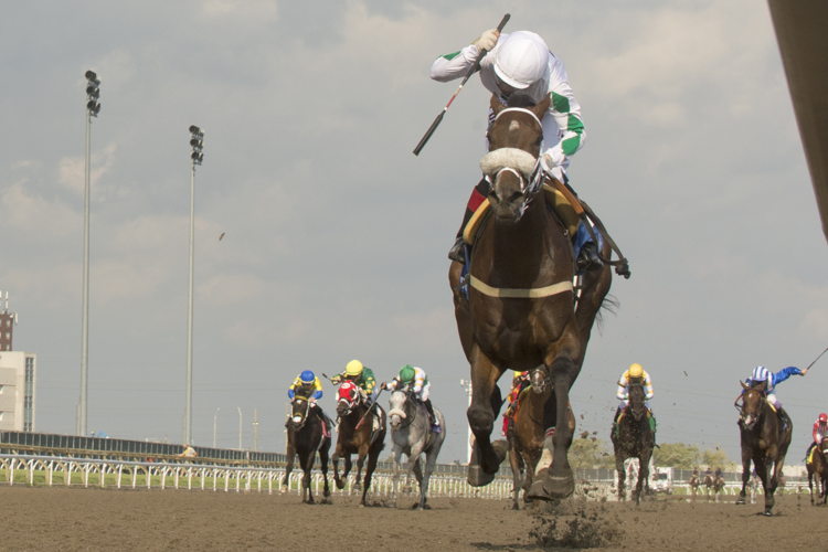 Moira, under Rafael Hernandez, makes a statement winning the Woodbine Oaks presented by Budweiser. (Michael Burns Photo)