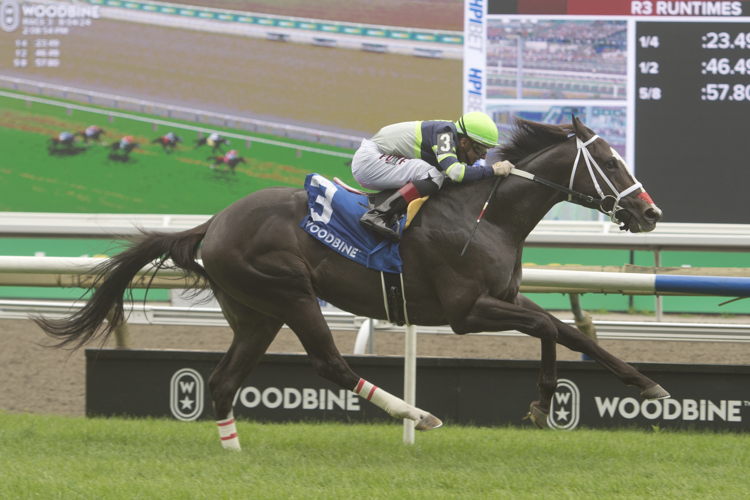 Live Lucky and jockey Rafael Hernandez winning the Lake Superior Stakes on August 4, 2024 at Woodbine (Michael Burns Photo)