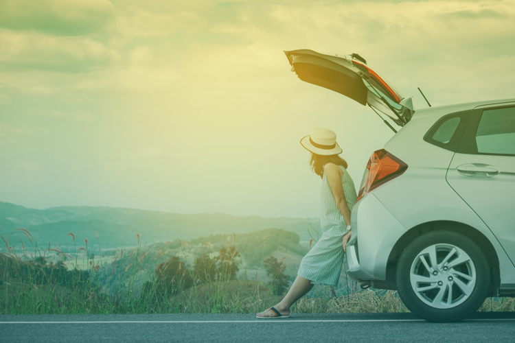 Sunny Cars