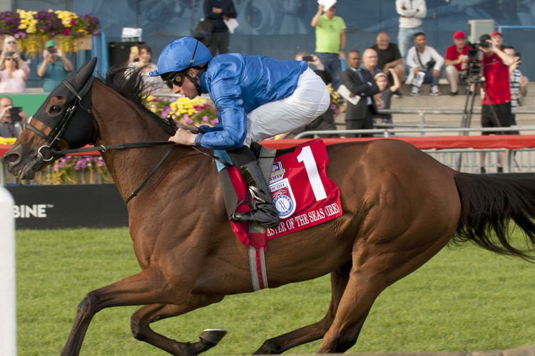 Master of The Seas and William Buick winning the Grade 1 Ricoh Woodbine Mile. (Michael Burns Photo)