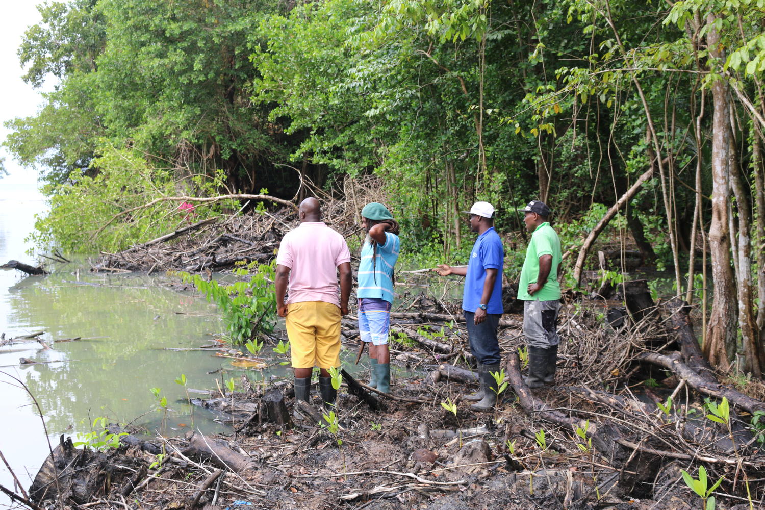 AFTER: Community workers onsite at the mangrove project.