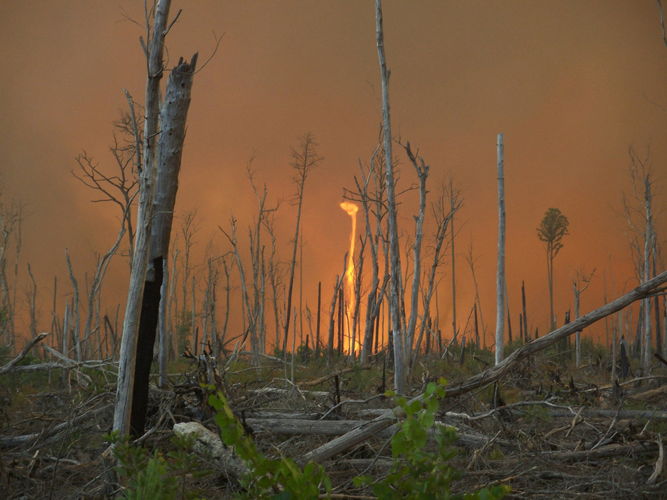 fire whirl rages off Corapeake Road in the Lateral West Wildlfire on Great Dismal Swamp National Wildlife Refuge. The fire burned in the scar of the 2008 South One Fire in a restoration area for Atlantic white cedar. When lightning struck in the Great Dismal Swamp National Wildlife Refuge on August 4, 2011, it hit land primed for wildfire. A previous fire in 2008 had killed trees and brush, leaving dead fuel in its wake. Grass and brush began to re-grow over the old burn scar, but in 2011, drought dried the plants and soil. AKG8140201 © akg-images / © USFWS/Greg Sanders/SCIENCE SOURCE fire whirl rages off Corapeake Road in the Lateral West Wildlfire on Great Dismal Swamp National Wildlife Refuge. The fire burned in the scar of the 2008 South One Fire in a restoration area for Atlantic white cedar. When lightning struck in the Great Dismal Swamp National Wildlife Refuge on August 4, 2011, it hit land primed for wildfire. A previous fire in 2008 had killed trees and brush, leaving dead fuel in its wake. Grass and brush began to re-grow over the old burn scar, but in 2011, drought dried the plants and soil. AKG8140201 © akg-images / © USFWS/Greg Sanders/SCIENCE SOURCE