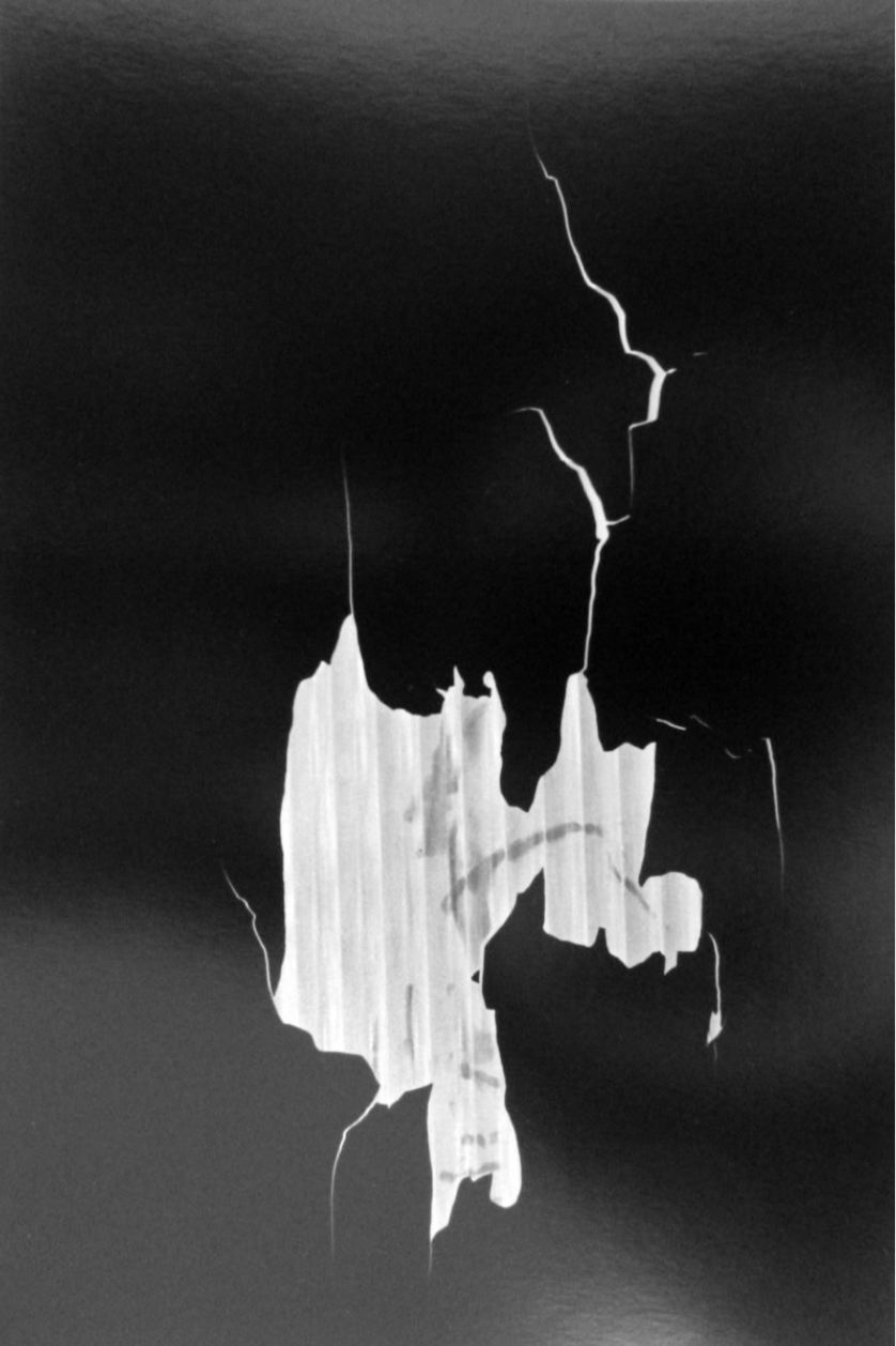 Jan Yoors, Abstract at the Naturla History Museum, 1962. Gelatin silver print © Jan Yoors / Courtesy Gallery FIFTY ONE