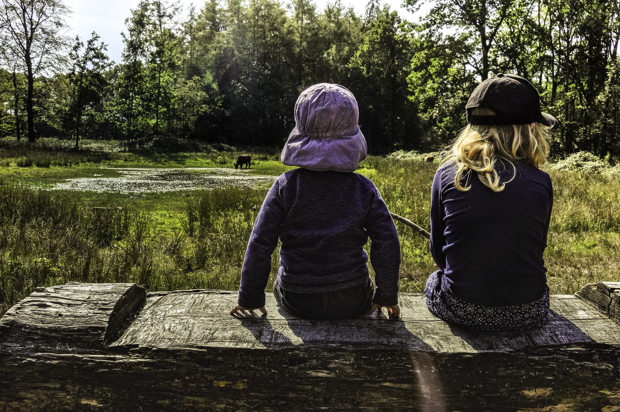 Kinderen bij een poel in de Gulke Putten © VLM, Herlinde Jacobs