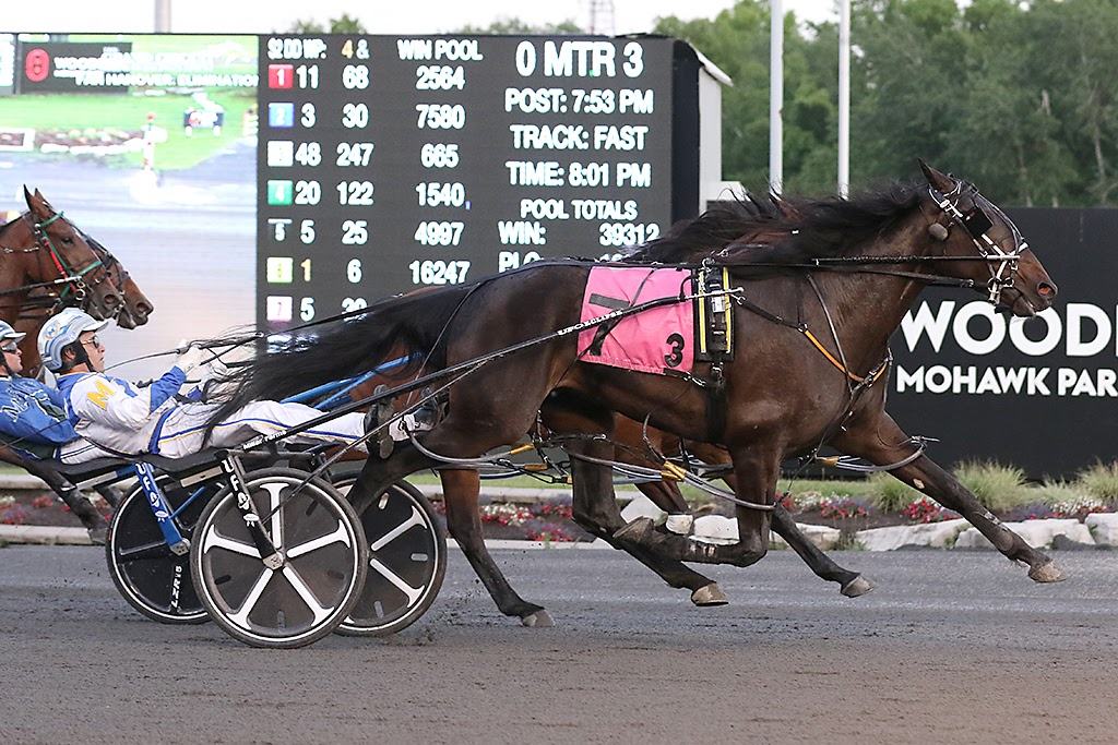 Silver Label (James MacDonald) capture the second elimination of the Fan Hanover at Woodbine Mohawk Park. (New Image Media)