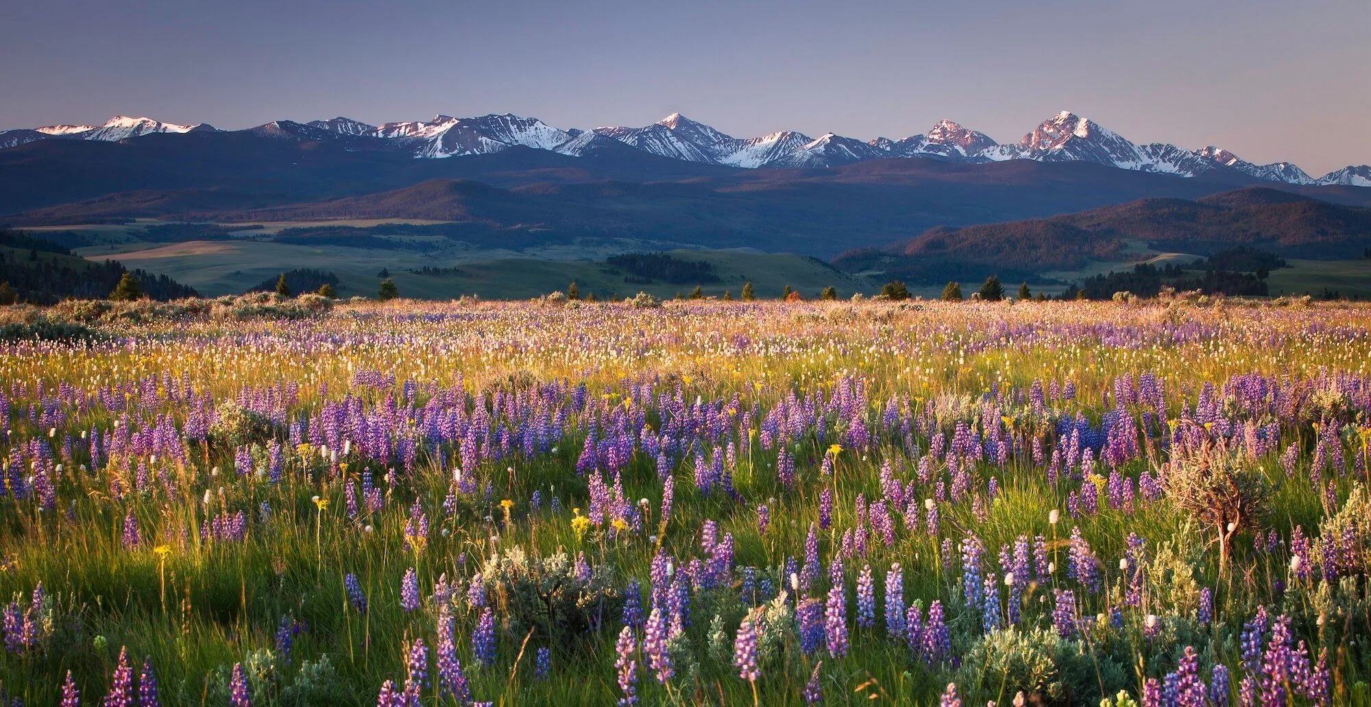 Montana: el road trip que lo tiene todo entre paisajes infinitos, rodeos y lujo natural 