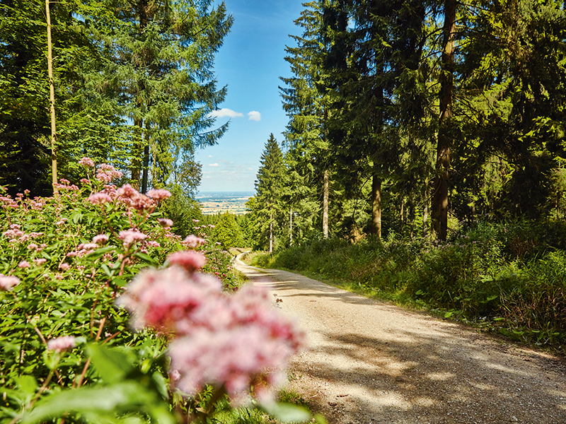 Deister Hills (c) HMTG_Christian Wyrwa