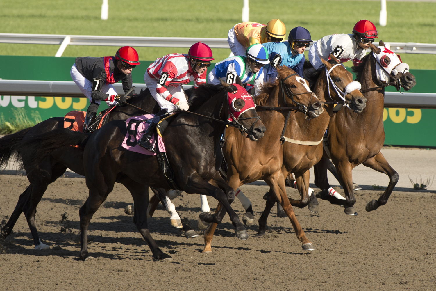 Woodbine Racetrack (Michael Burns Photo)