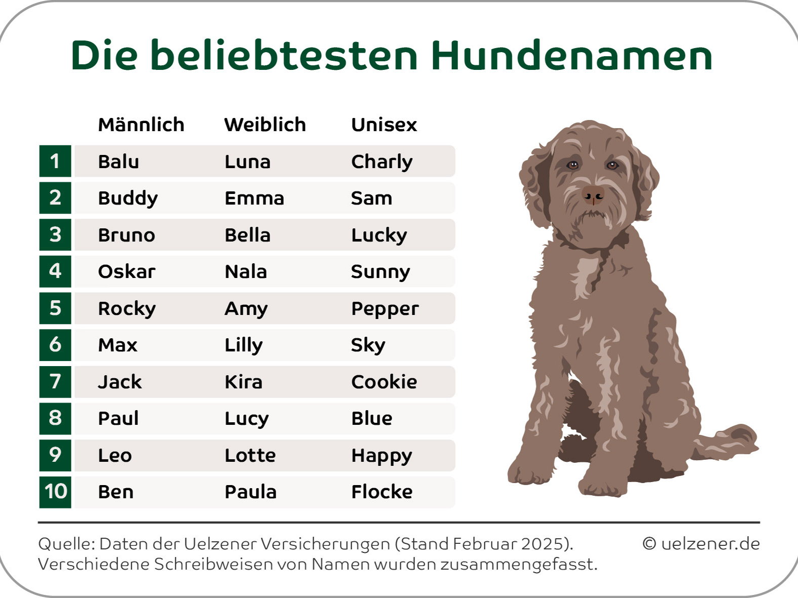 Luna, Balu und Pommes im Hundepark: Die beliebtesten und kreativsten Hundenamen Deutschlands