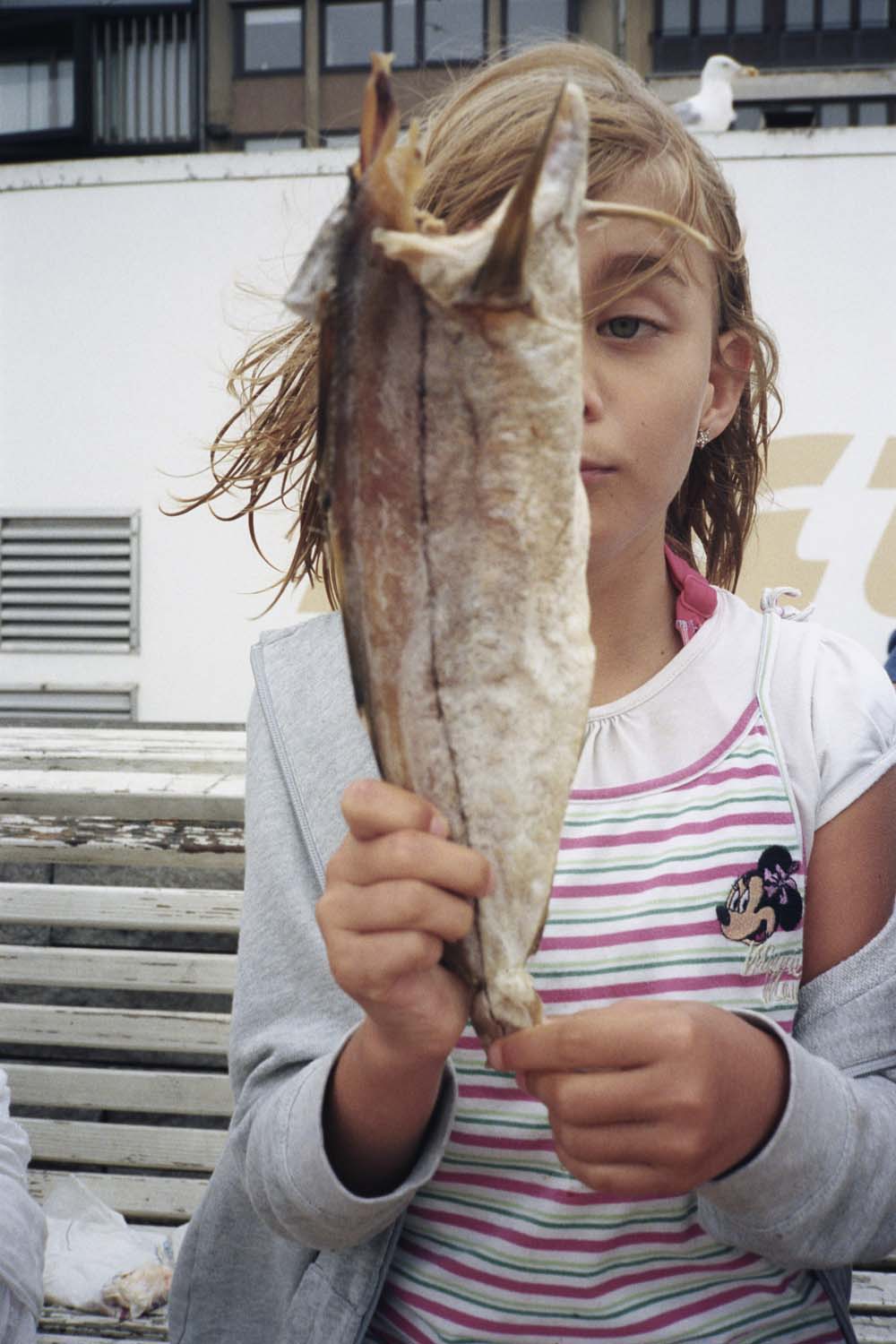 Nouvelles expositions: Vincen Beeckman, .tiff 2023, Meggy Rustamova
