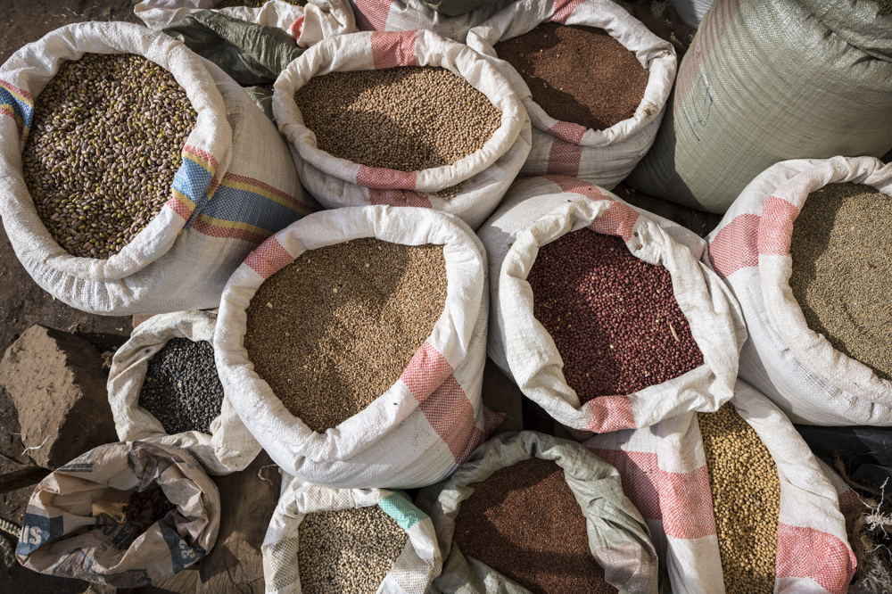 Millet varieties available in the market 
