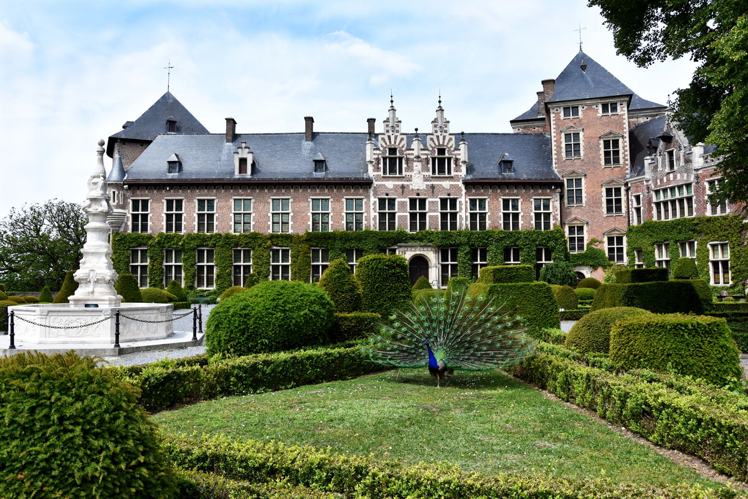 Binnentuin Kasteel van Gaasbeek