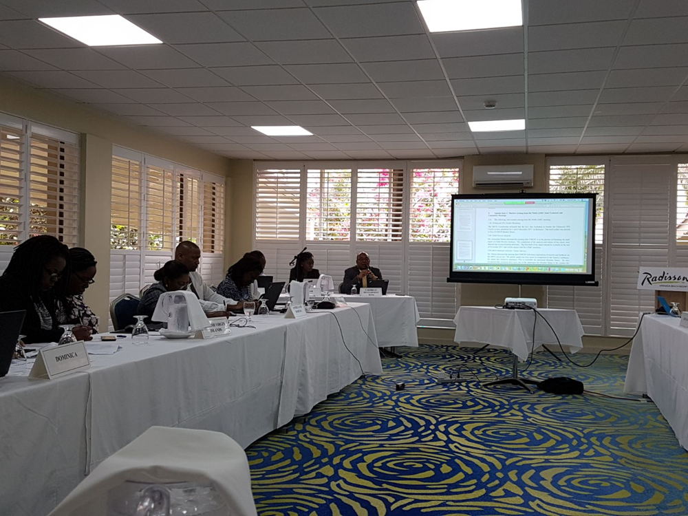 Participants of the Eleventh Living Standards Measurement Committee 