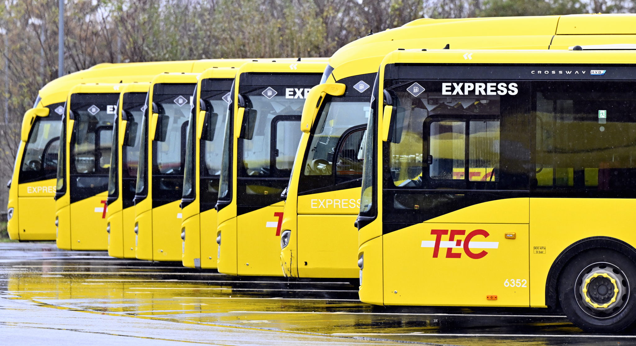 Transport disruption intensifies as rail and bus services prepare for week-long strike