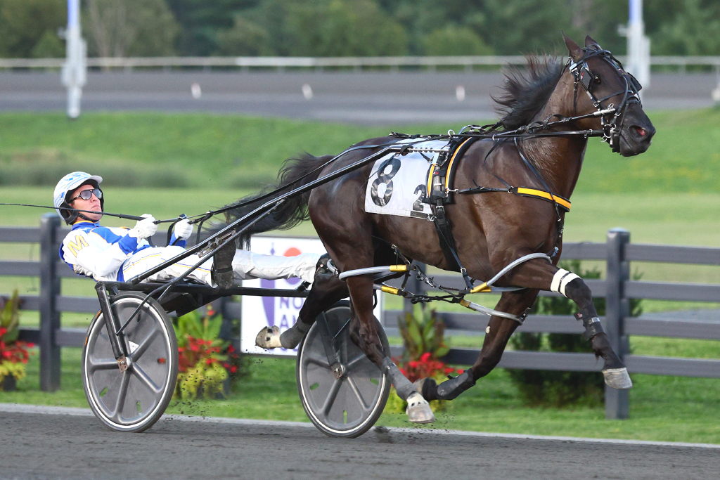 Chantilly, pictured winning an OSS Gold division on August 31, 2024, is the first filly to be nominated to the Pepsi North America Cup. (New Image Media)